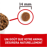 Acana-Classic Red pour Chien (1)