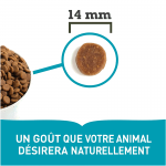 Acana-Wild Coast pour Chien (1)