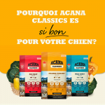 Acana-Wild Coast pour Chien (1)