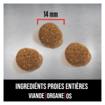 Croquettes Chiot Grandes Races