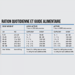 Adulte Original pour chien