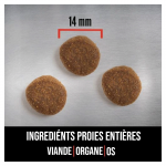 Adulte Original pour chien