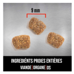 Orijen adult small croquettes pour chiens de petites races grain free