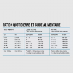 Croquettes 6 Poissons pour Chat