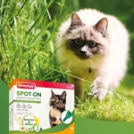 Beaphar Sport-On Pipetas Repelentes Naturales para Gatos