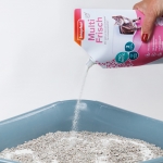 Beaphar Multi Fresh Neutralizador de Olores para Gatos Aroma Orquídea