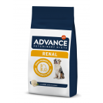 Rénal Canine (6)