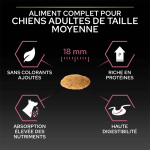 Adulte Sensitive au Saumon