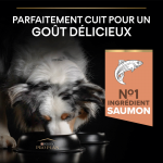 Adulte Sensitive au Saumon