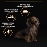Purina Pro Plan-OptiHealth Small & Mini Adult (1)
