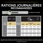 OpriStar Chiot Athlétique Grandes Races