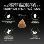 OpriStar Chiot Athlétique Grandes Races