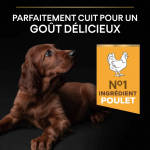 OpriStar Chiot Athlétique Grandes Races