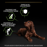 OpriStar Chiot Athlétique Grandes Races