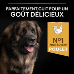 Purina Pro Plan-Croquettes OptiHealth Adulte Robuste Grandes (1)