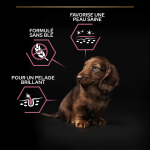 Purina Pro Plan-OptiDerma Small & Mini Puppy Sensitive Skin (1)