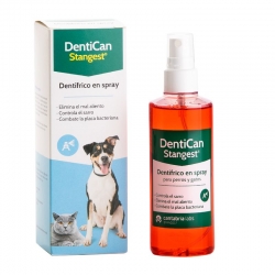 Stangest-Dentican Spray dentaire (1)