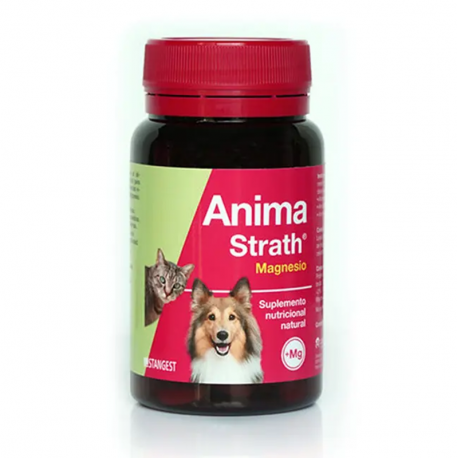 Stangest-Fortifiant Naturel pour Chien et Chat (1)