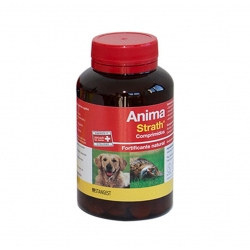 Stangest-Fortifiant en Pot pour Chiens et Chats (1)