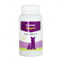 Stangest-Enzivet pour Chien et Chat (1)