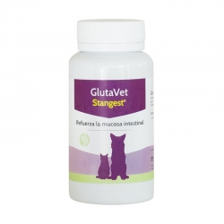 Stangest-Glutavet pour Chien et Chat (1)
