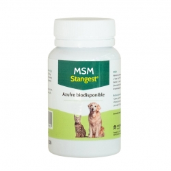 Stangest-MSM pour Chien et Chat (1)
