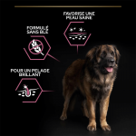 Purina Pro Plan-OptiDerma Adult Large Robust Sensitive Skin (1)
