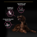 Purina Pro Plan-OptiDerma Adulte LArge Athletic Sensitive Skin (1)