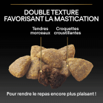 Purina Pro Plan-Duo Delice Mini Poulet (1)