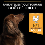 Purina Pro Plan-Duo Delice Mini Poulet (1)