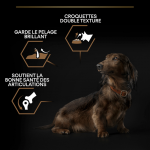 Purina Pro Plan-Duo Delice Mini Poulet (1)