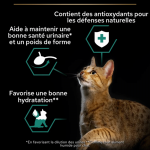 Pro Plan Sterilised Terrine Bacalao Comida Húmeda para Gatos Esterilizados