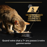 Nutri Savour Sterilised Poulet Boîte. (6)