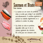 Carnilove-Cat & Kitten Salmon & Turquey (1)