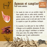 Carnilove-Adult Sterilised Lamb & Wild Boar (1)