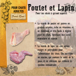 Adult Poulet et Lapin