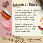 Carnilove-Kitten Saumon et Dinde Boîte (1)