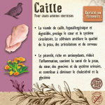 Carnilove Cat Adulto Pouch Sterilised sabor Codorniz