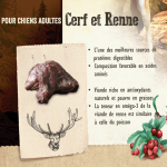 Carnilove-Adult Reindeer (1)