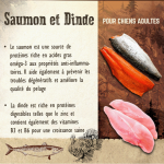 Carnilove-Adult Large Saumon et Dinde (1)