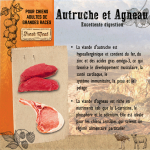 Adult Small Autruche et Agneau