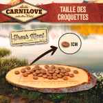 Adult Carpe et Truite
