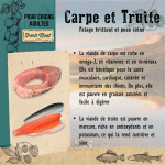 Adult Carpe et Truite