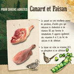Carnilove-Adult Canard et Faisan Boîte (1)