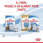 Royal Canin-Maxi Starter Gestation/Allaitement (1)