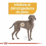 Maxi Dermacomfort Grandes Races (1)