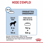 Royal Canin-Giant Junior Races Géantes (1)