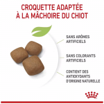 Royal Canin-Giant Junior Races Géantes (1)