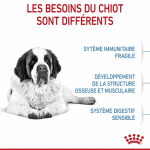Royal Canin-Giant Junior Races Géantes (1)