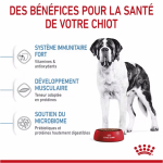 Royal Canin-Giant Junior Races Géantes (1)